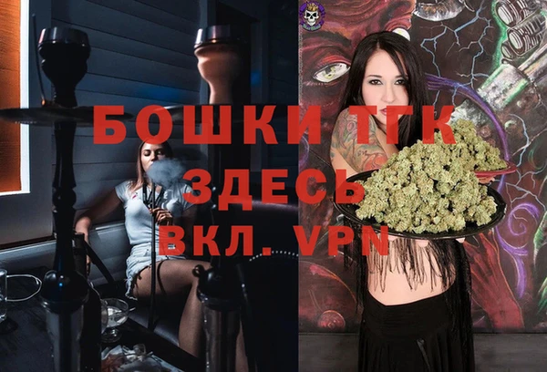 сатива Баксан