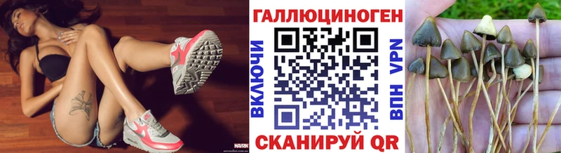 Галлюциногенные грибы Psilocybe  Уфа 